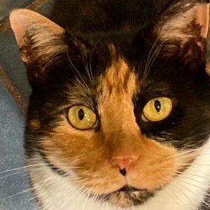 Meet your Posher, Janet